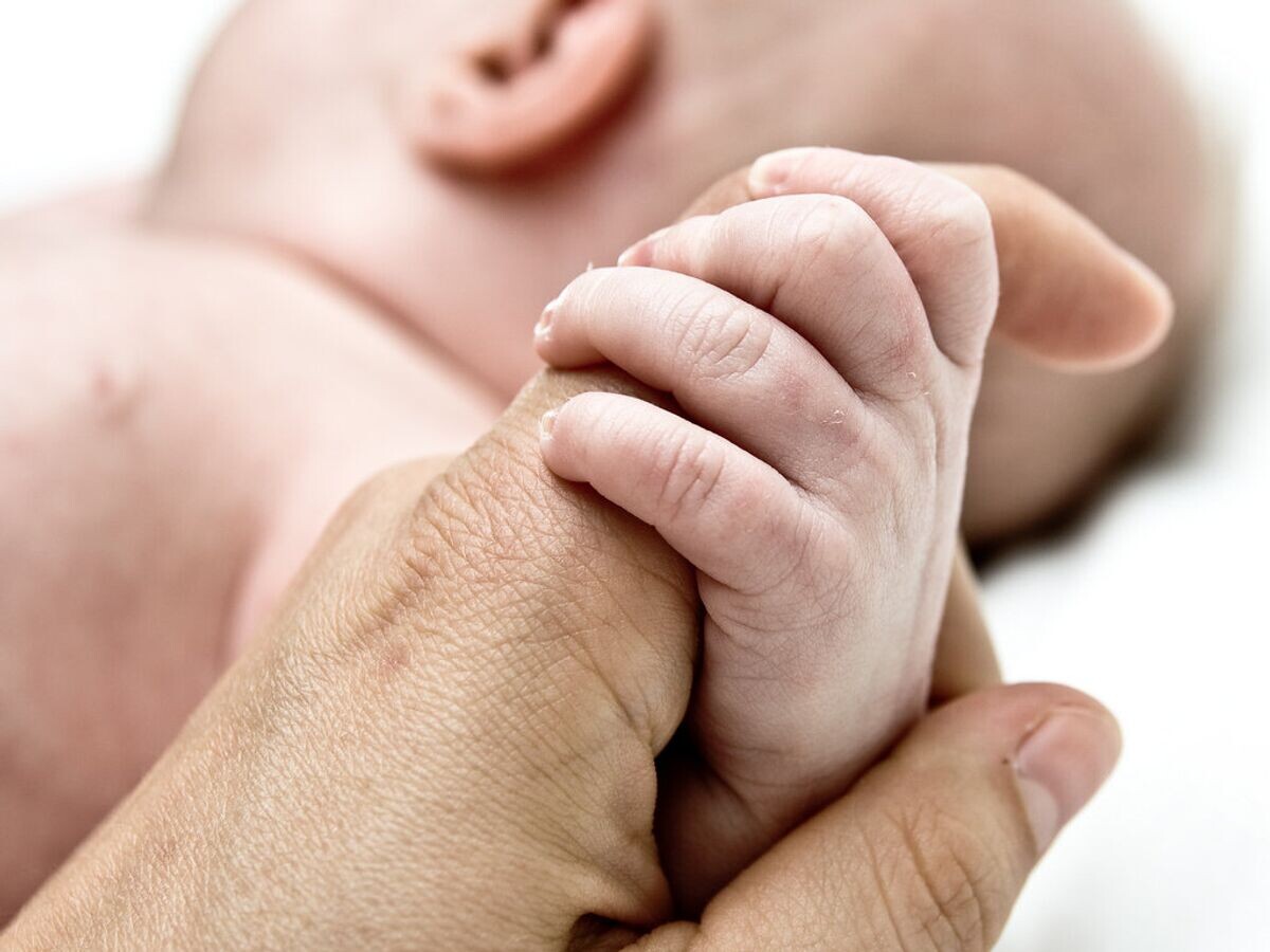    Ребенок держит руку отца© Flickr / mrgreen09