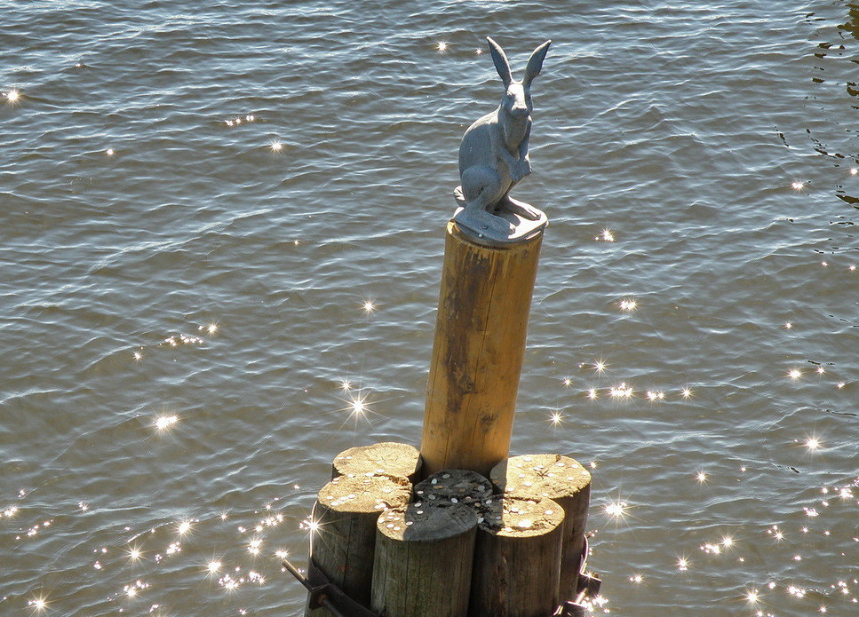 Заяц у Иоанновского моста в Санкт-Петербурге.