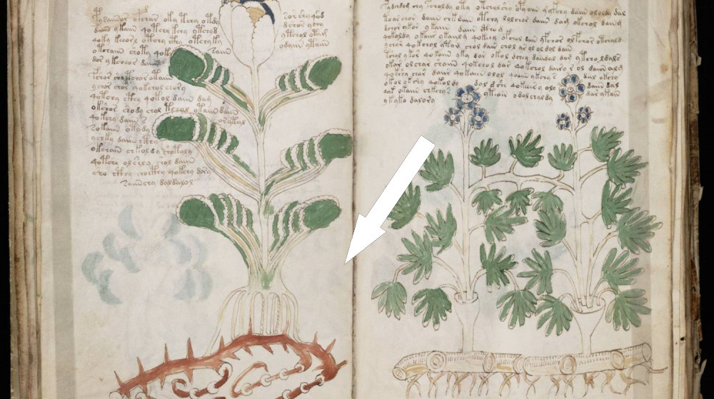    Тайна рукописи Рипли раскрыта: зашифрованный алхимический код