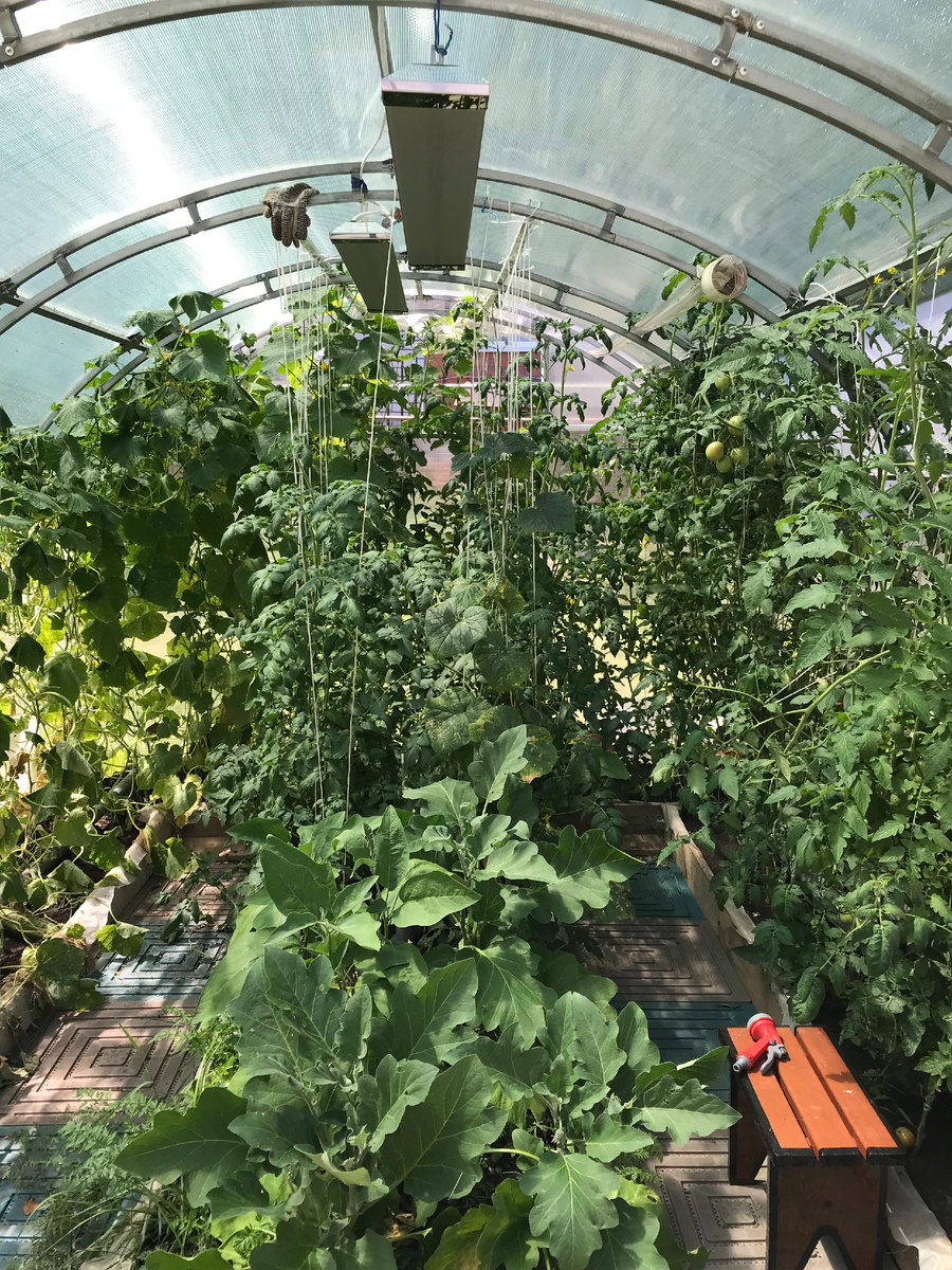 Теплый полив