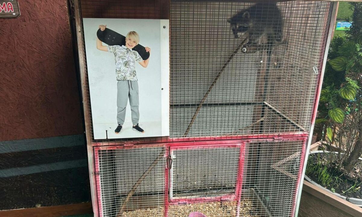    Фото t.me/omvd_gel