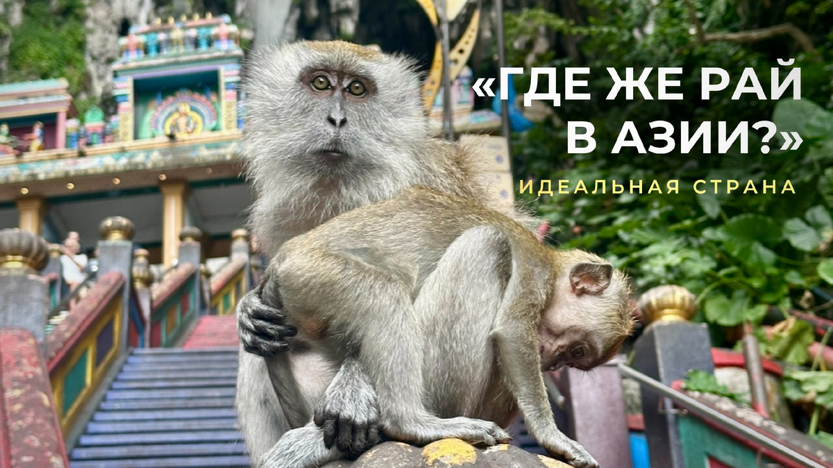 Фото сделано мной на знаменитых пещерах Бату - там тысячи или даже миллионы обезьян!!!