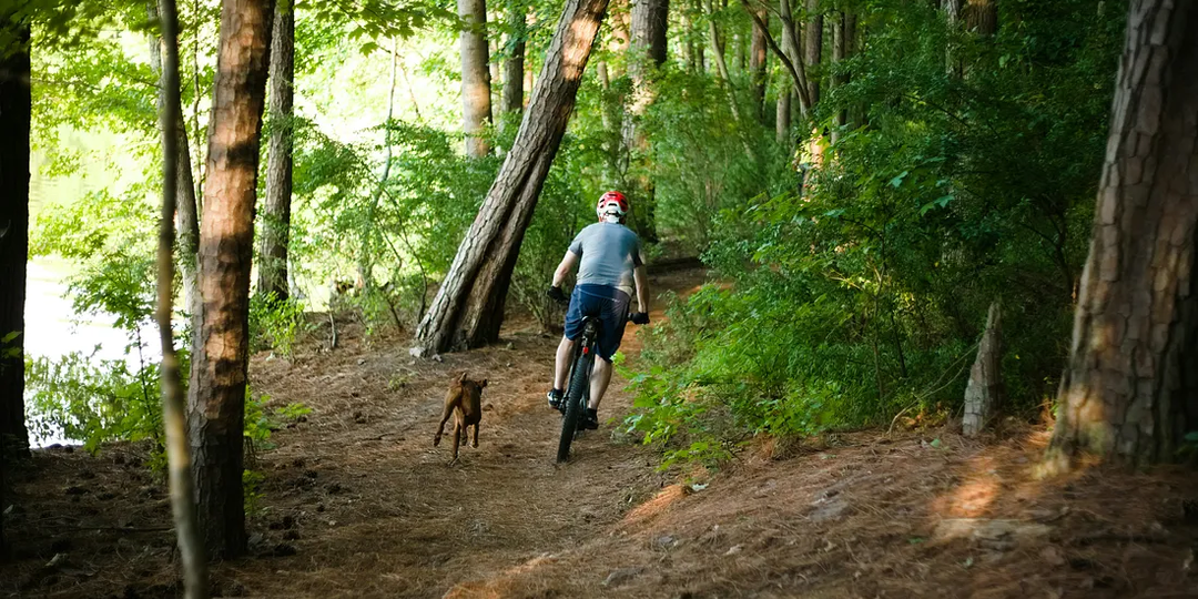 Когда человек не может найти глубокого смысла, он обращается к удовольствиям, чтобы отвлечься