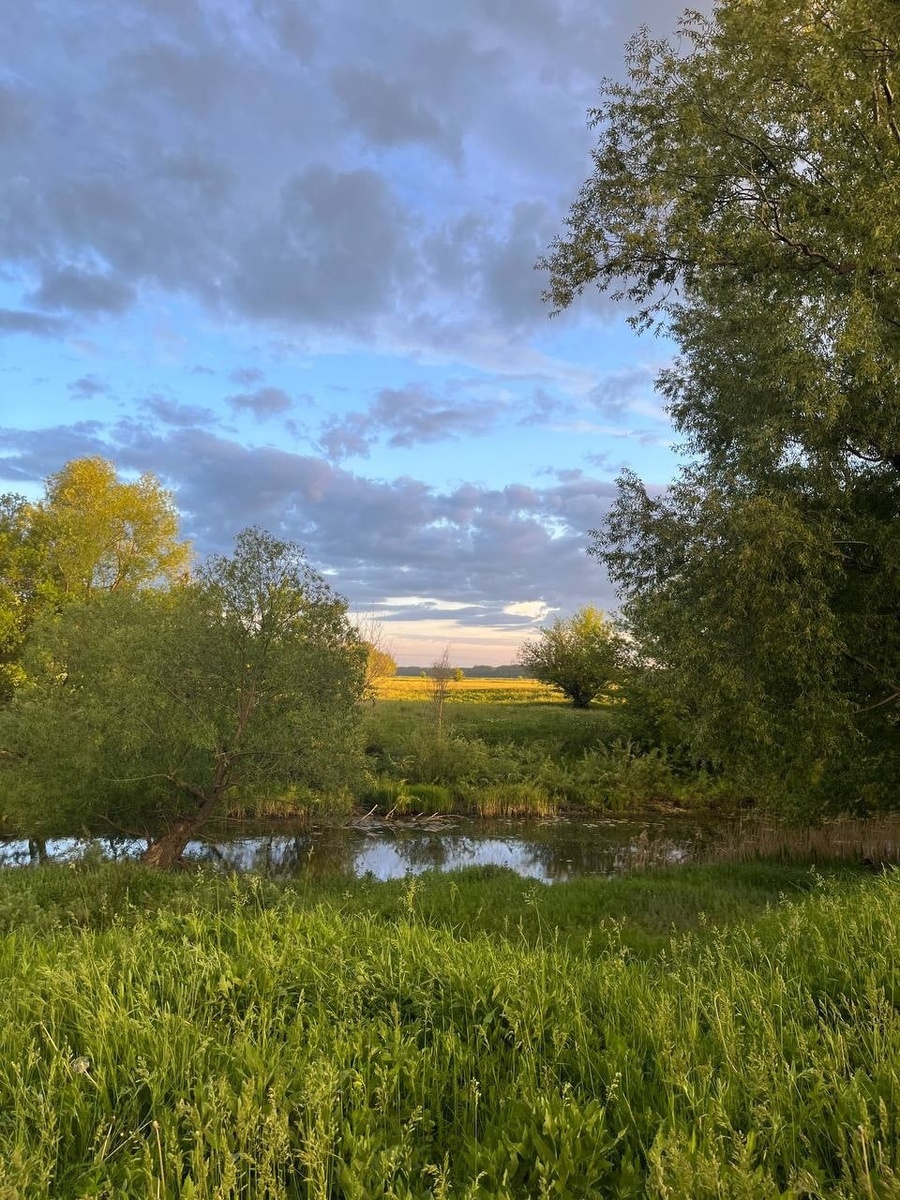    Фото: Надежда Острокол