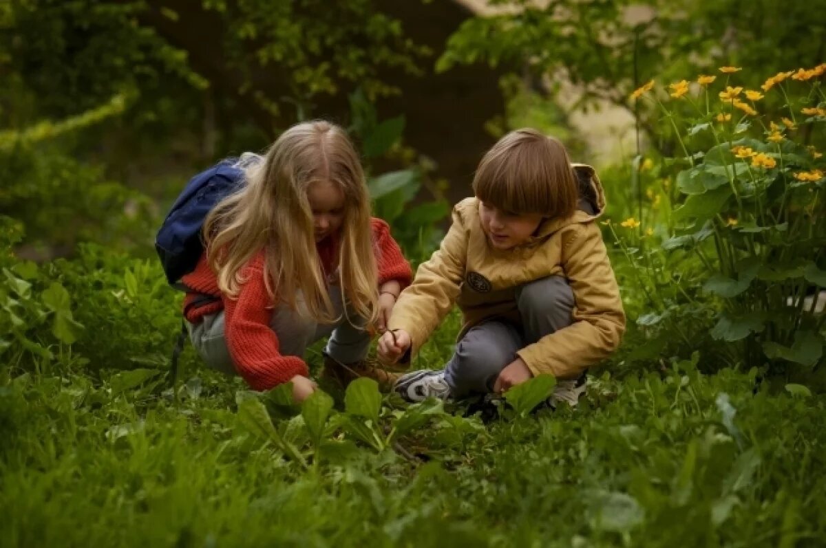    В Тульской области можно встретить необычную «змею»