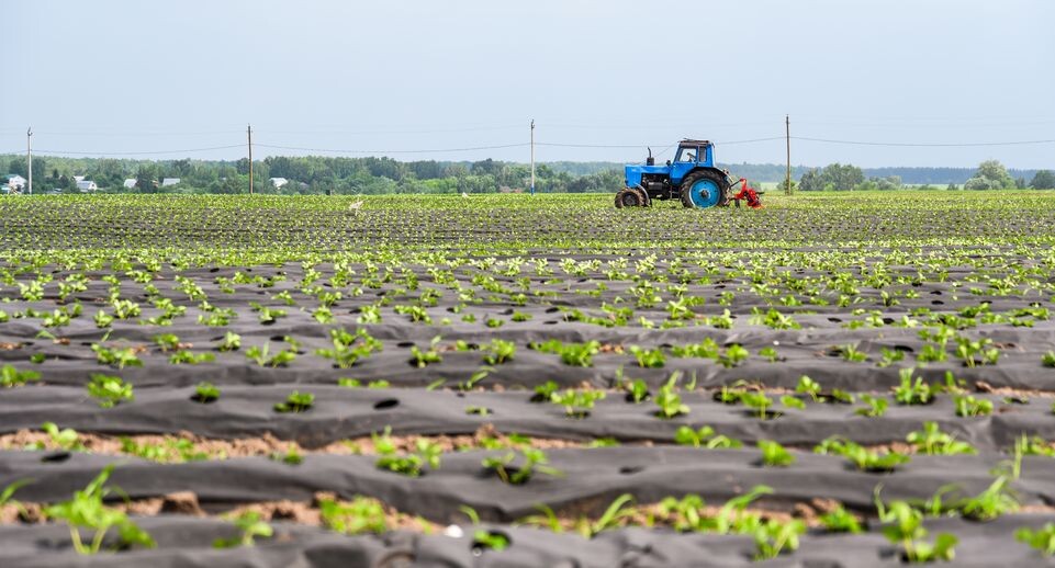    Медиасток.рф