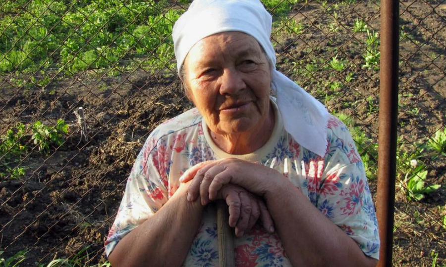 Кладу под каждый куст перца старые колготки. Муж смеётся, а урожаю завидует вся деревня