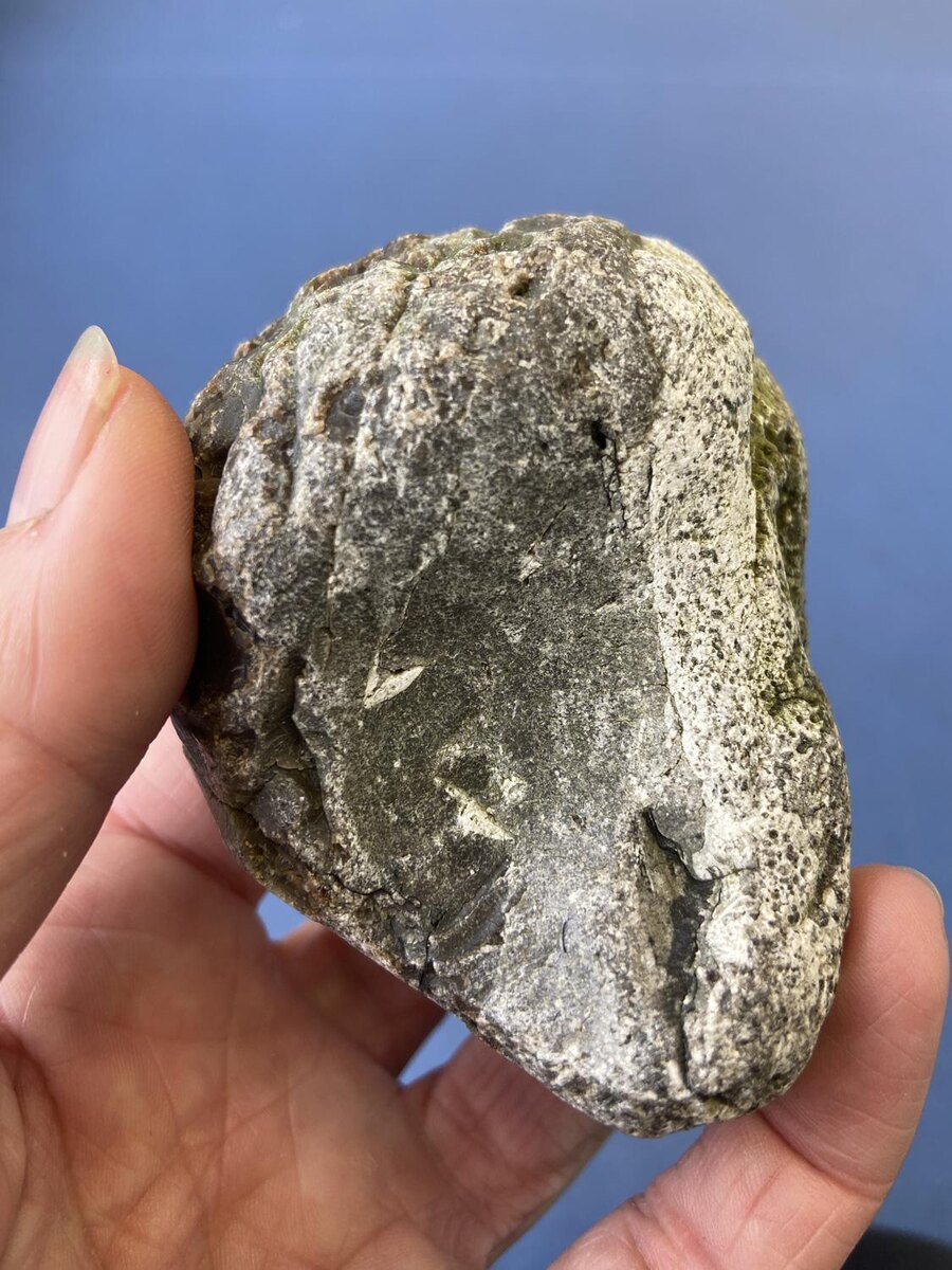    Амбру используют как фиксатор запахов, который позволяет другим ароматам дольше сохраняться на кожеLorna Roberts / Shutterstock / Fotodom