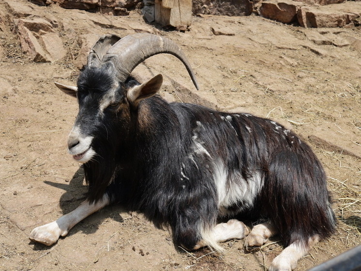   Николай Ткаченко