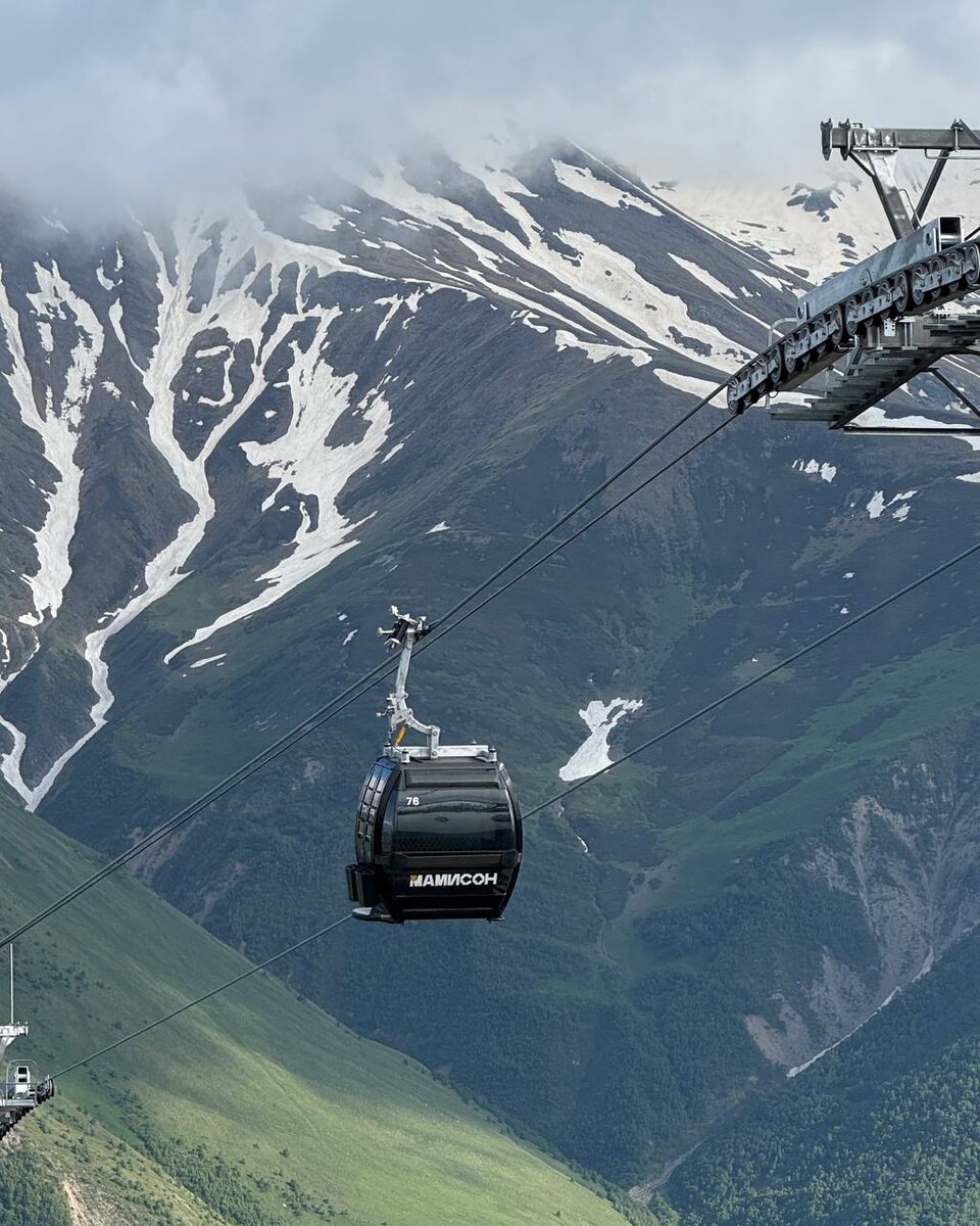    Фото: Фото ТГ-канал Мамисон