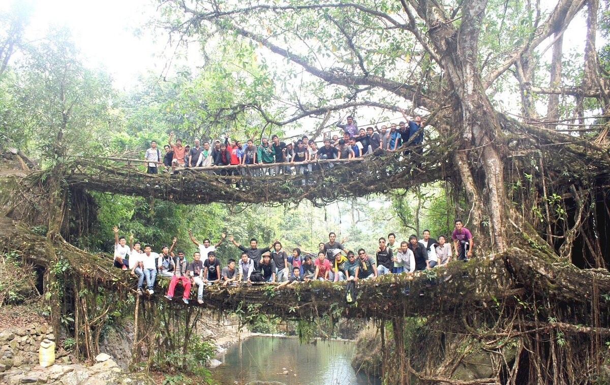 из доступных источников
