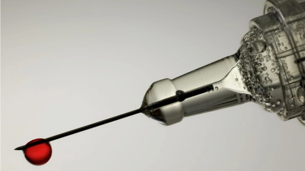    Фото: H.-D. Falkenstein/Globallookpress