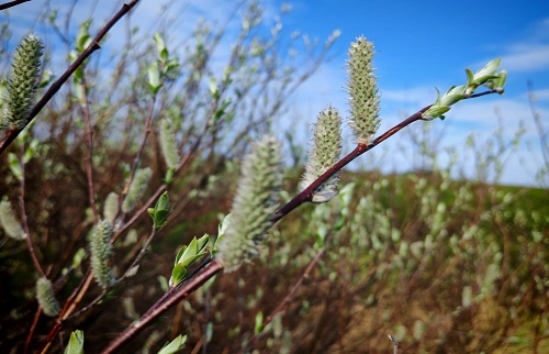 Фотография из личного архива автора