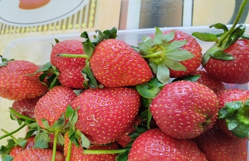 Фотография из личного архива автора