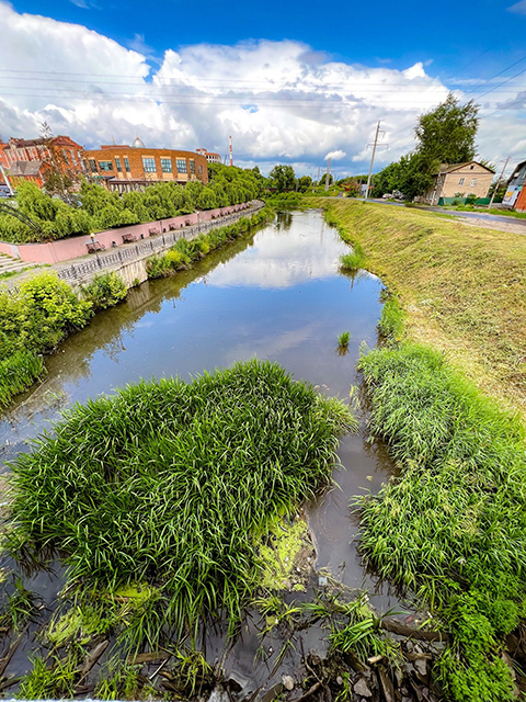    В некоторых местах русло заросло настолько, что воды не видно вовсе