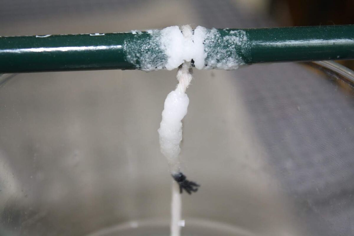 Кристаллы соли, растущие на нитке, подвешенной к карандашу, в домашнем эксперименте