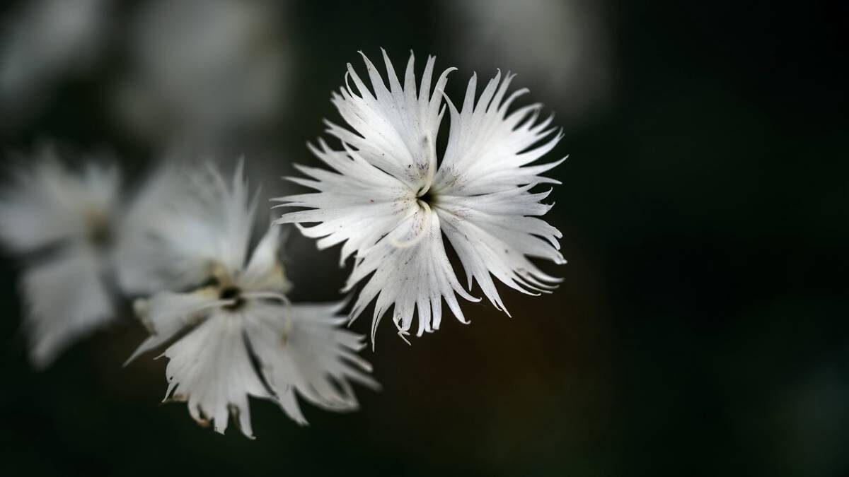    Фото: Shutterstock