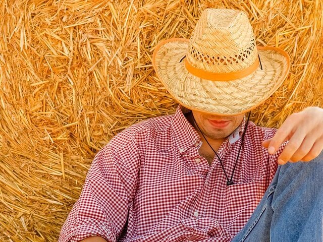    Фото: 123RF/koca777