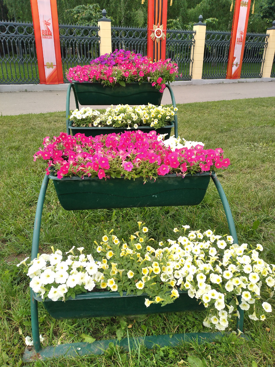 Многоярусная клусба с разноцветной петунией.