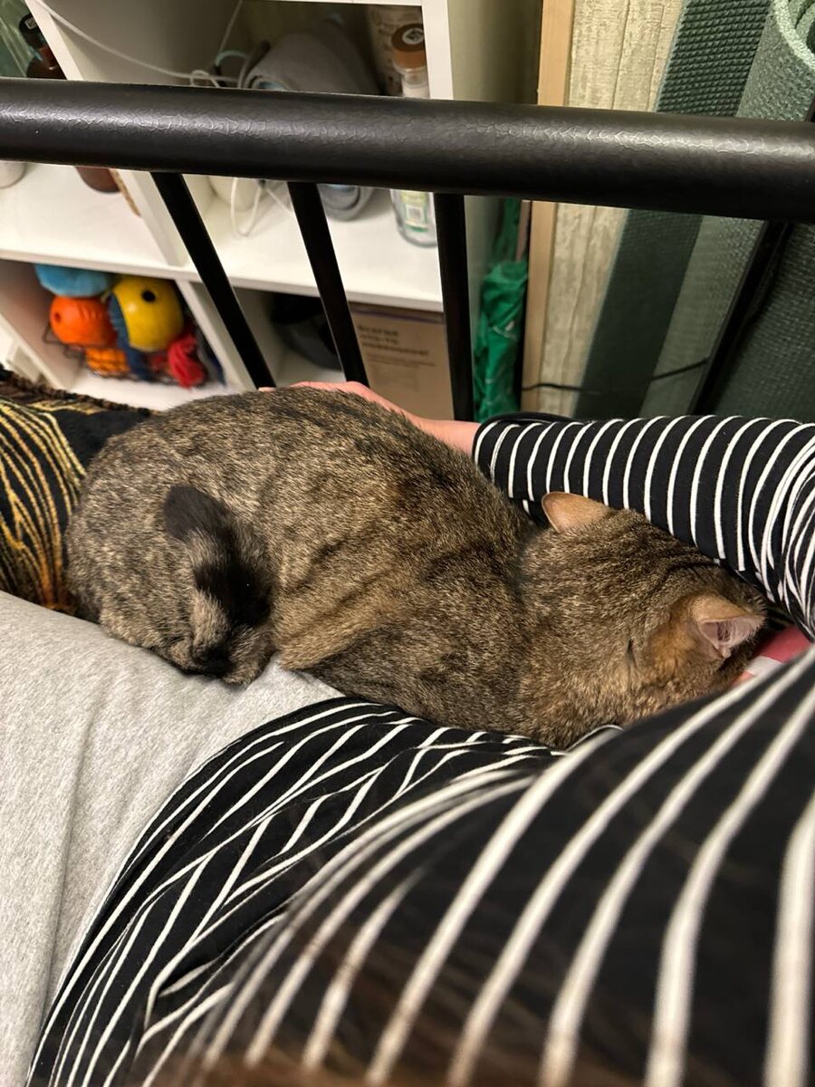 И вот так тоже было