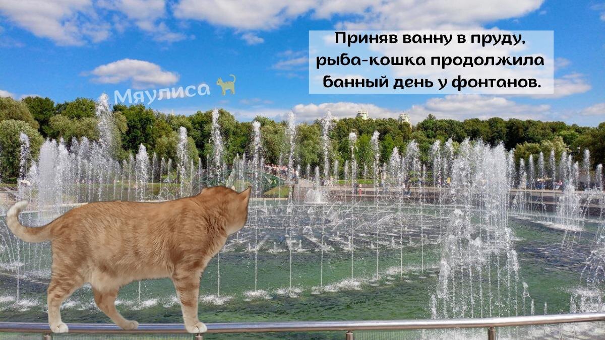Фото: Василиса обходит фонтан — автор: korolek, @Myaulisa