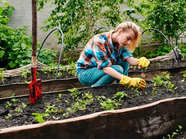    Фото: depositphotos/amixstudio