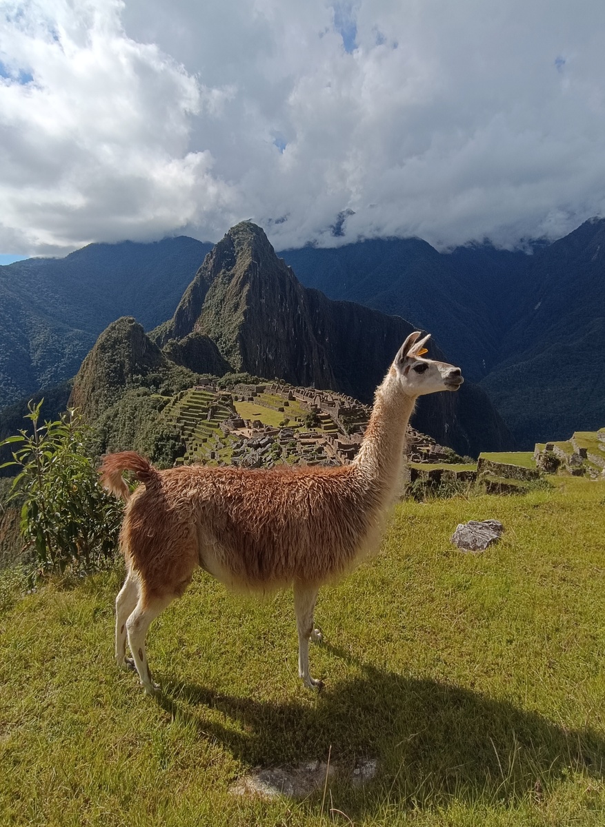 Фото из личного архива автора. 