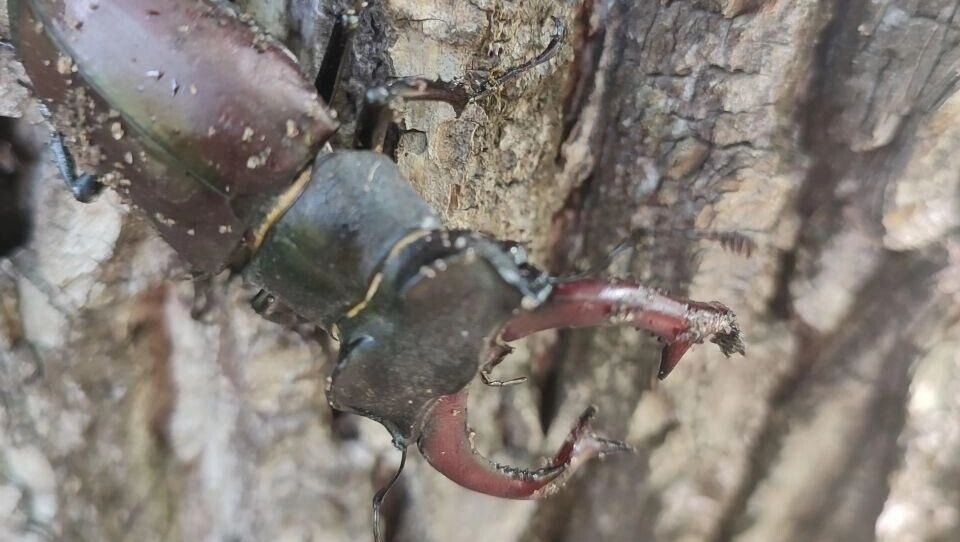     Источник: t.me/belgorod01