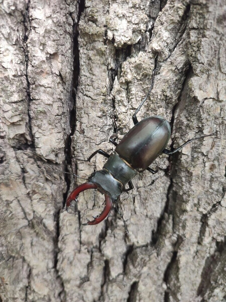     Источник: t.me/belgorod01