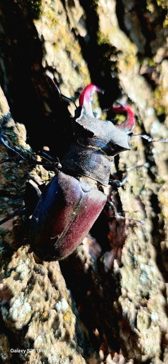     Источник: t.me/belgorod01