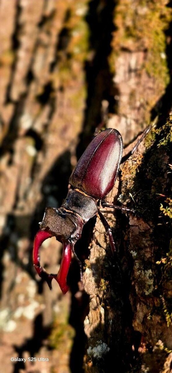     Источник: t.me/belgorod01