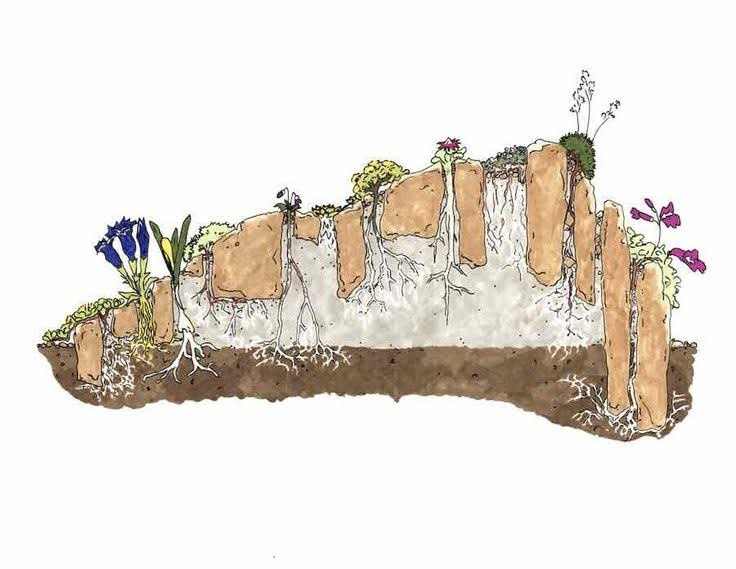 Источник: Pinterest
