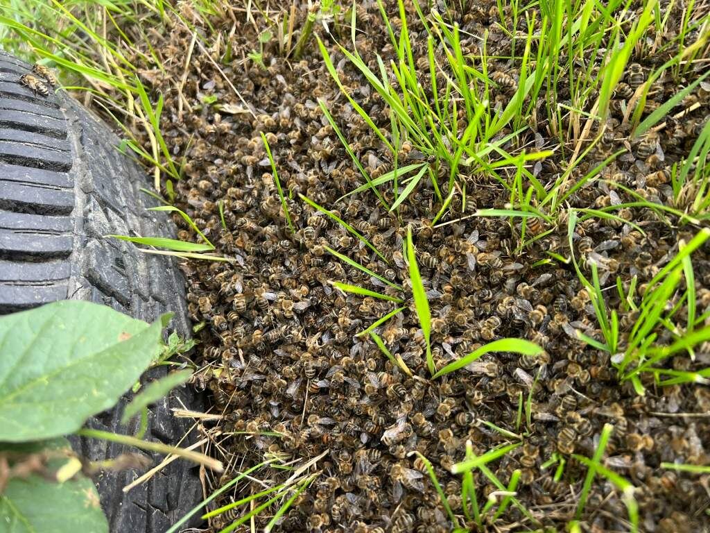    фото: ВК Евгений Степкин