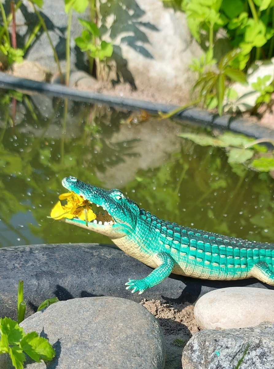 Крокодил с цветами. Фото автора канала