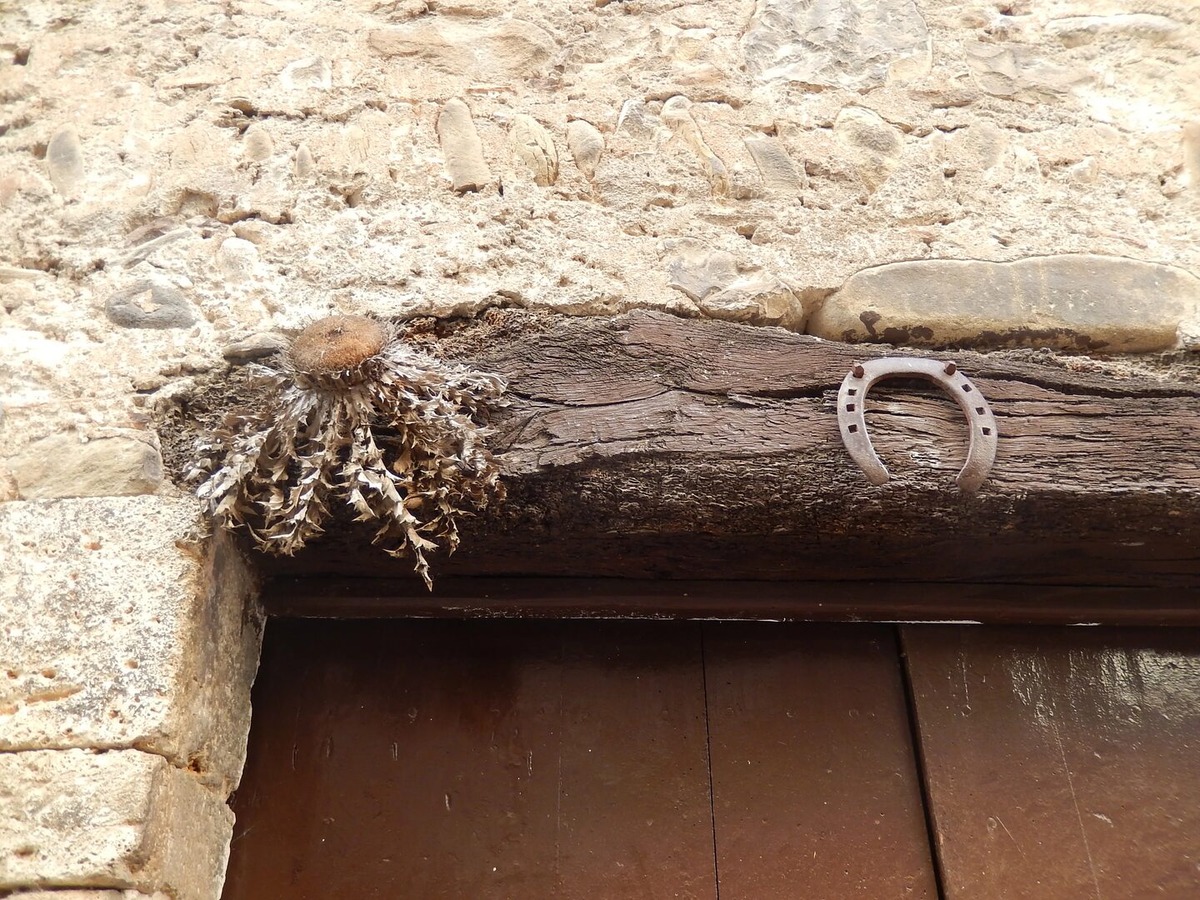 Изображение взято из открытых источников интернета. 