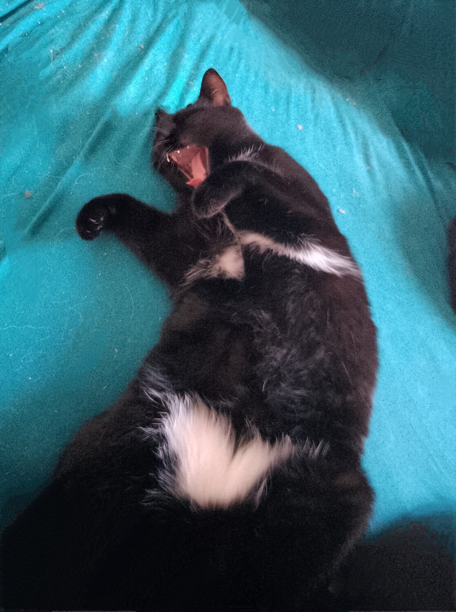 Вот тут видно ВСË