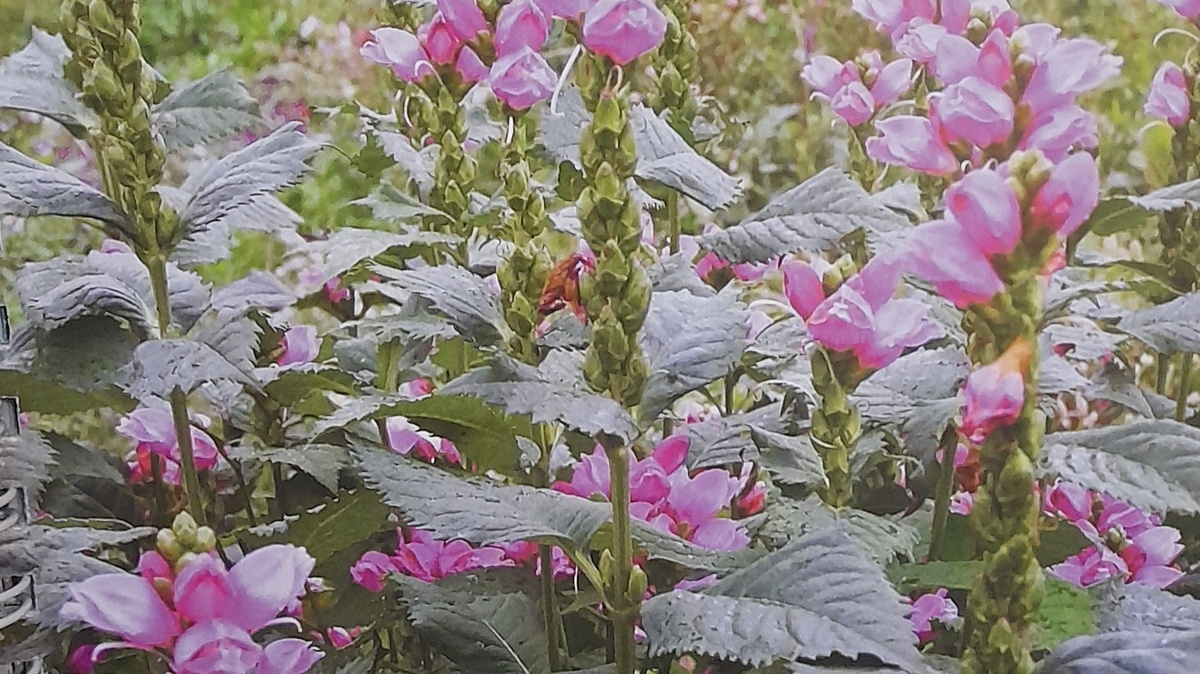 Фото автора канала