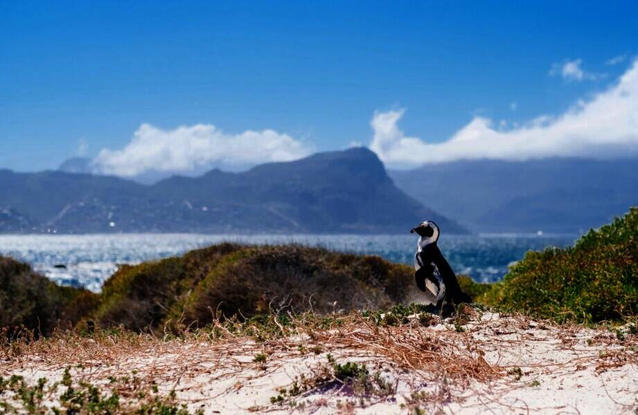    Фото: sanparks.org