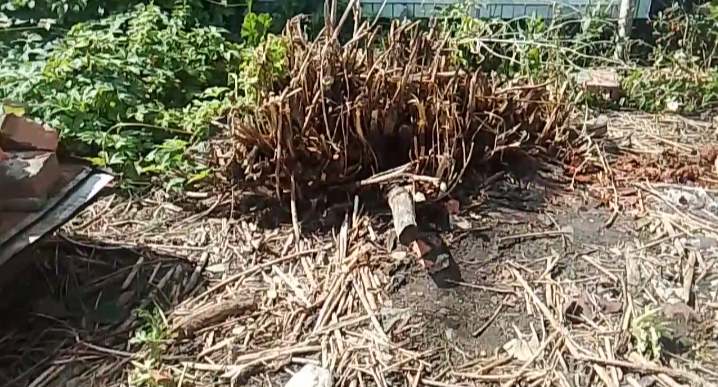 Эффект от черной плёнки 