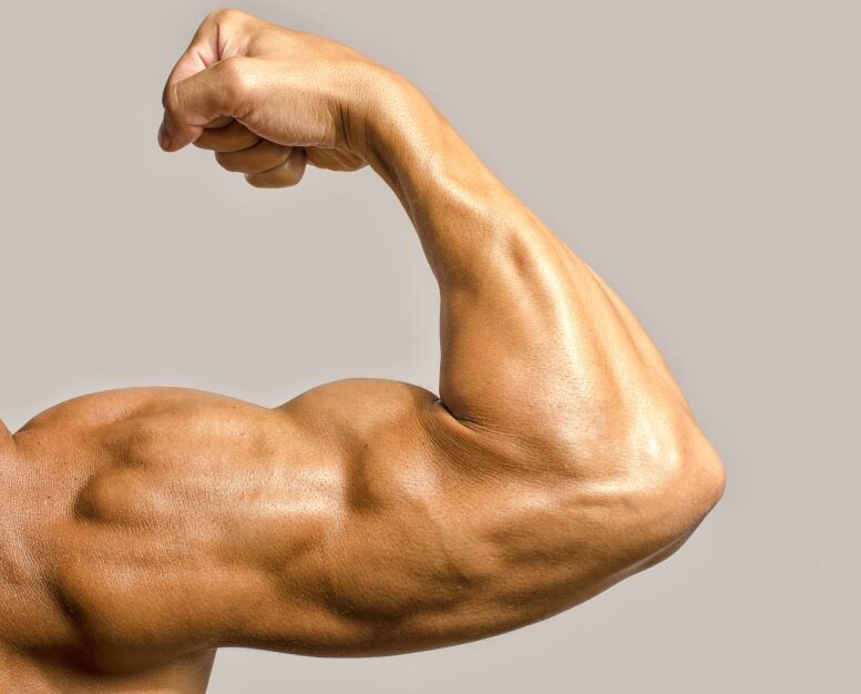 Яндекс Картинки