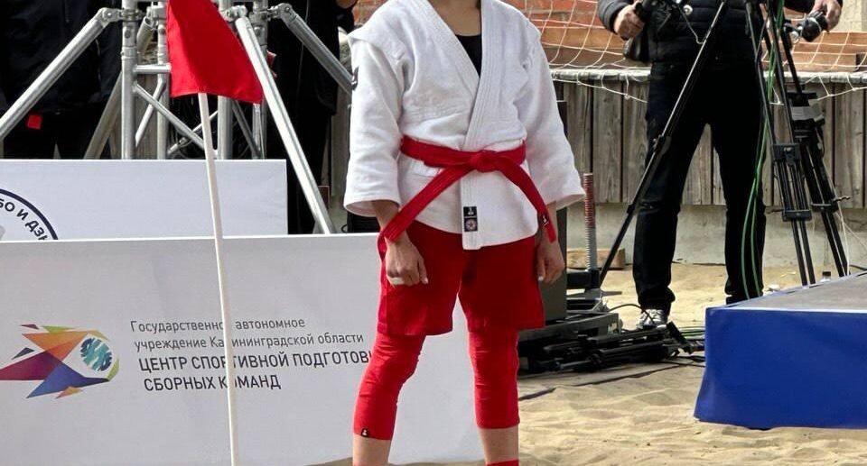    Всероссийская федерация самбо