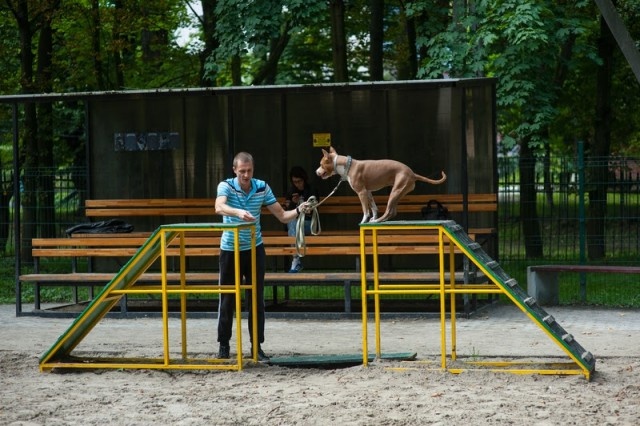   Фото из архива Калининград.Ru