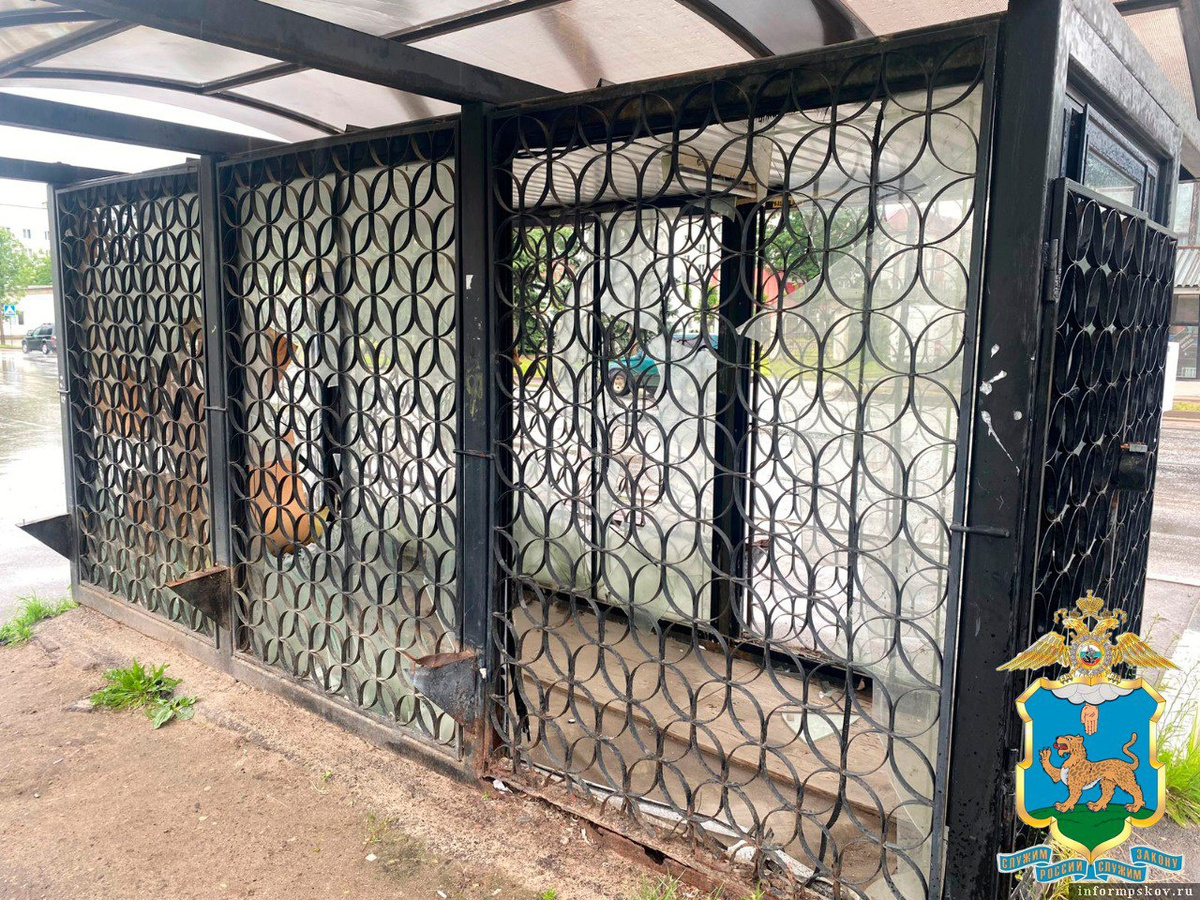 Фото: пресс-служба УМВД России по Псковской области