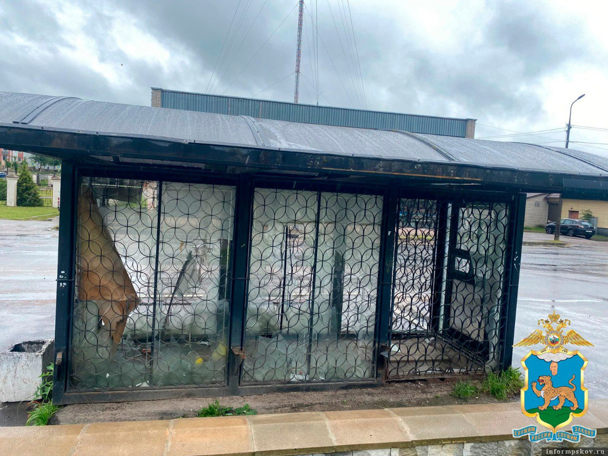 Фото: пресс-служба УМВД России по Псковской области