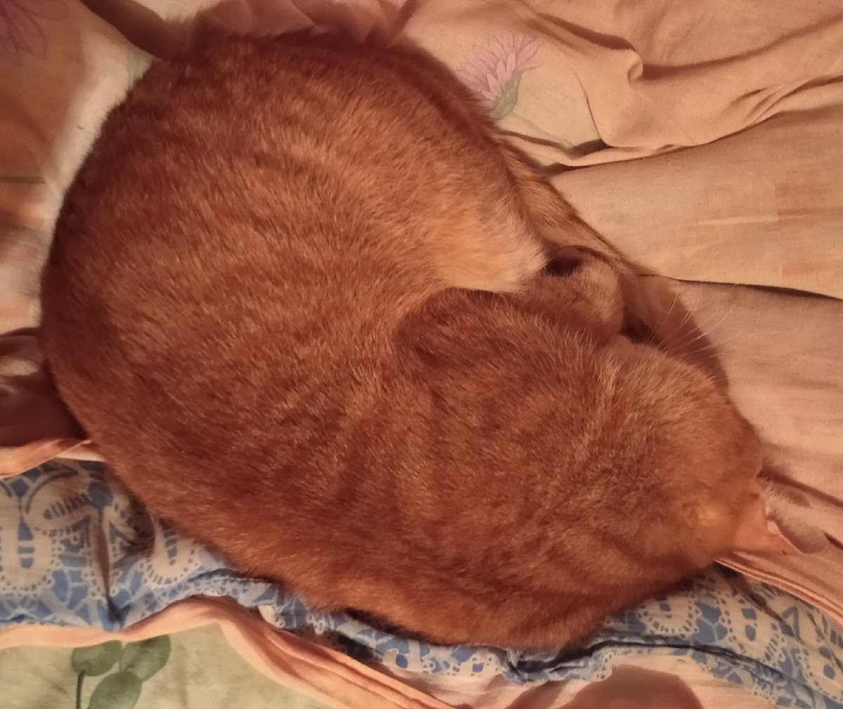 Личное фото