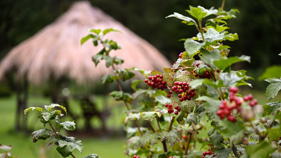 Фото: Александр Миридонов / Коммерсантъ