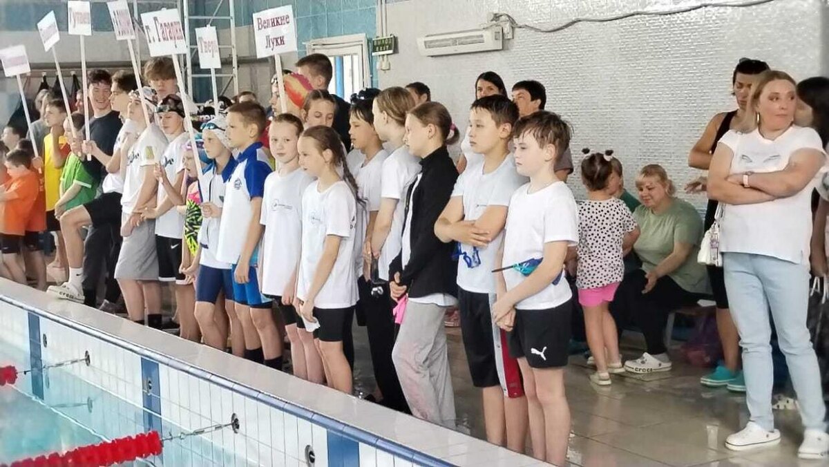 Великолучане стали призёрами межмуниципальных соревнований по плаванию в Тверской области
Фото: спортшкола «Олимпия»