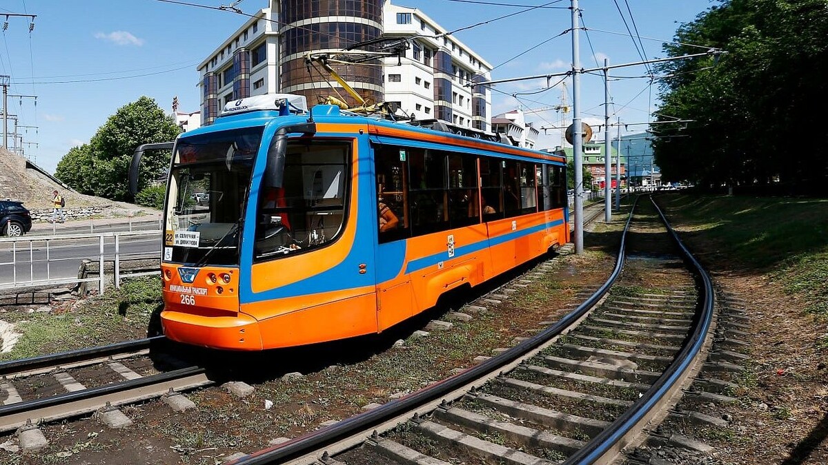    Фото: телеканал «Краснодар»