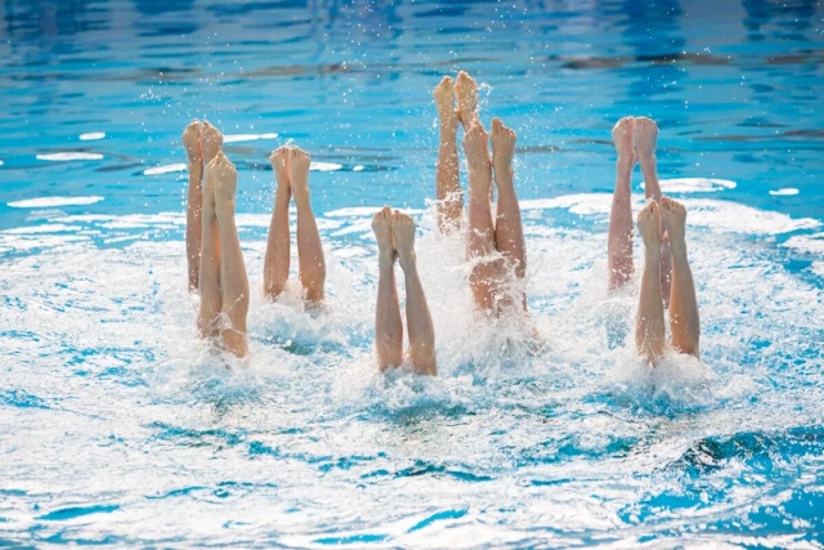    Путин наградил главного тренера сборной РФ по синхронному плаванию