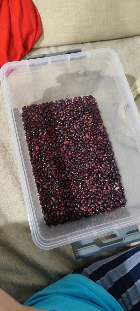 Сенсорная коробка с фасолью